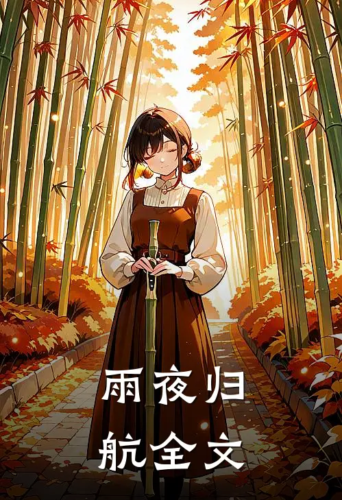 《雨夜归航》全文