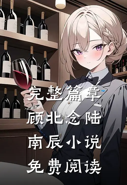 完整篇章顾北念陆南辰小说免费阅读