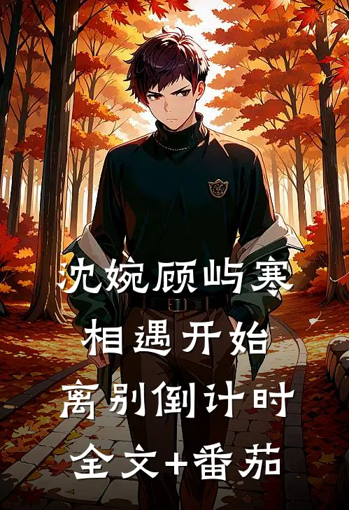 沈婉顾屿寒相遇开始，离别倒计时: 全文+番茄
