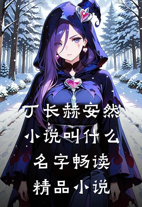 丁长赫安然小说叫什么名字畅读精品小说