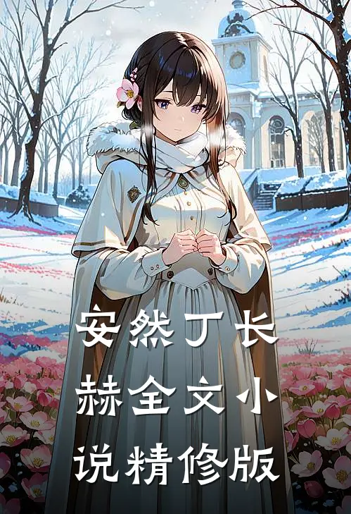 安然丁长赫全文小说精修版