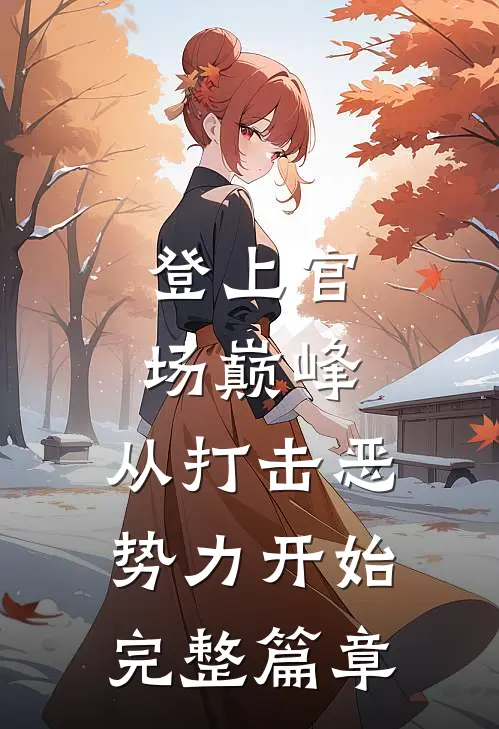 登上官场巅峰，从打击恶势力开始完整篇章