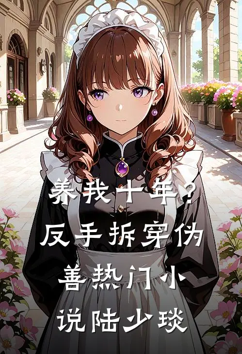 养我十年？反手拆穿伪善热门小说陆少琰
