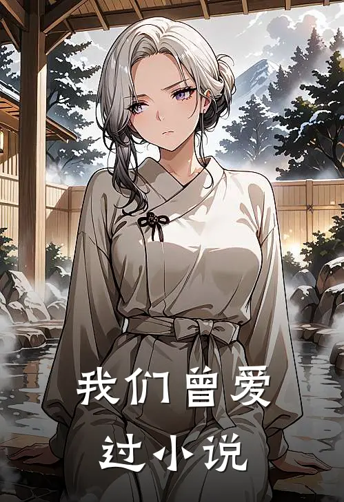 我们曾爱过小说