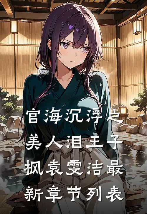 官海沉浮之美人泪王子枫袁雯洁最新章节列表