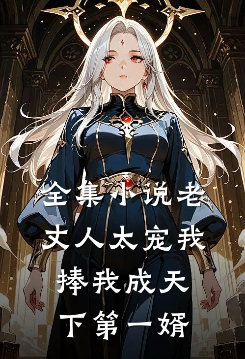 全集小说老丈人太宠我，捧我成天下第一婿