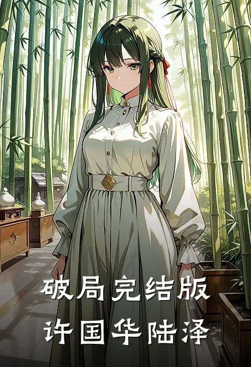 破局完结版许国华陆泽