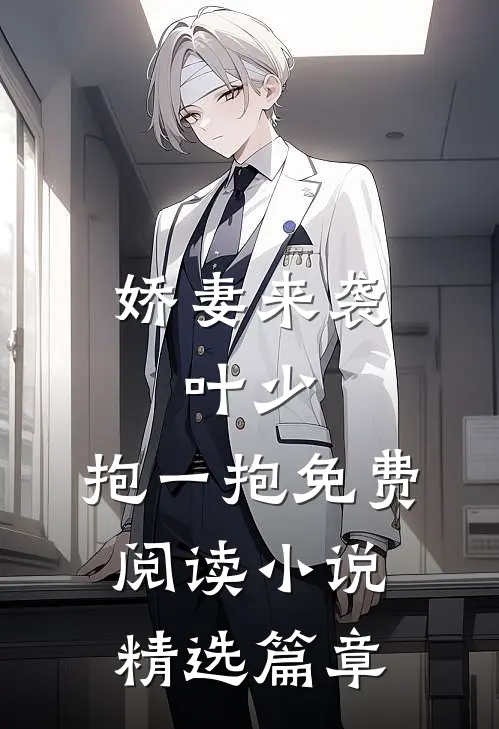 娇妻来袭:叶少,抱一抱免费阅读小说精选篇章