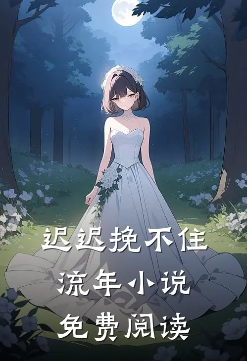 迟迟挽不住流年小说免费阅读