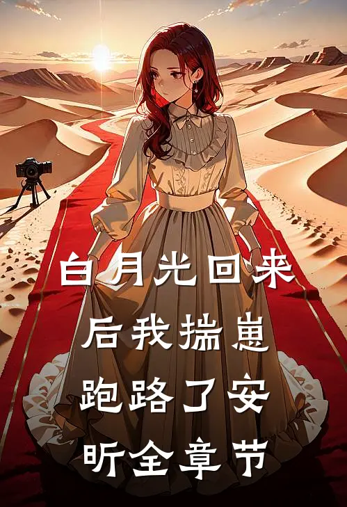 白月光回来后我揣崽跑路了安昕全章节