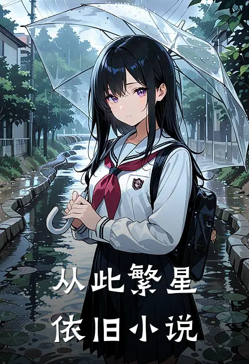 从此繁星依旧小说