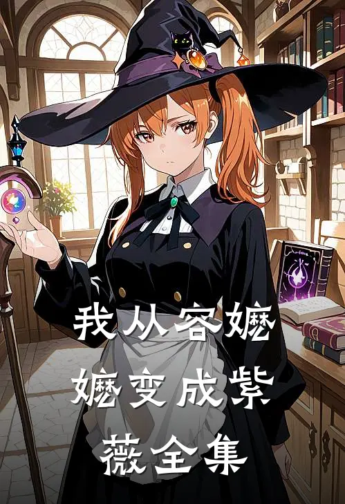 我从容嬷嬷变成紫薇 全集