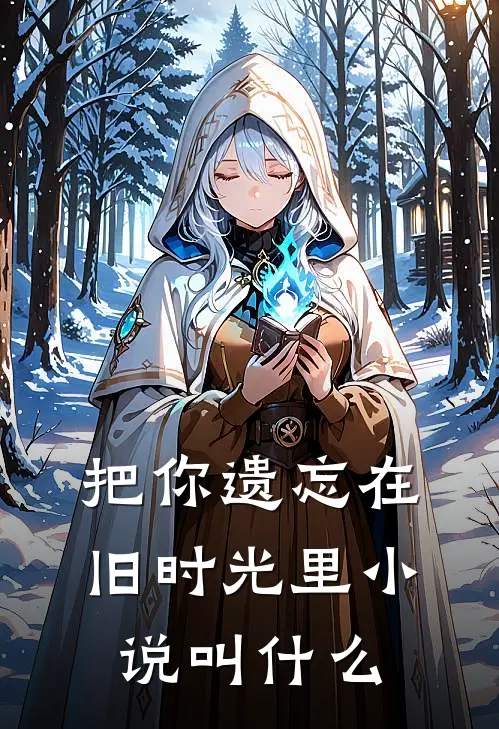 把你遗忘在旧时光里小说叫什么