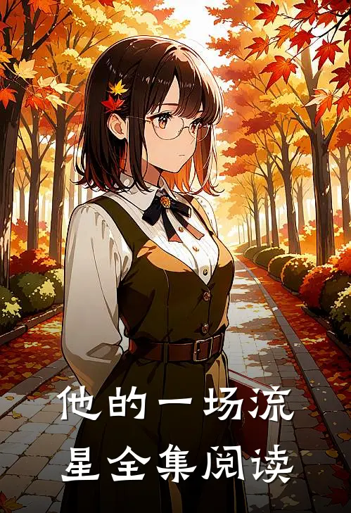 他的一场流星全集阅读