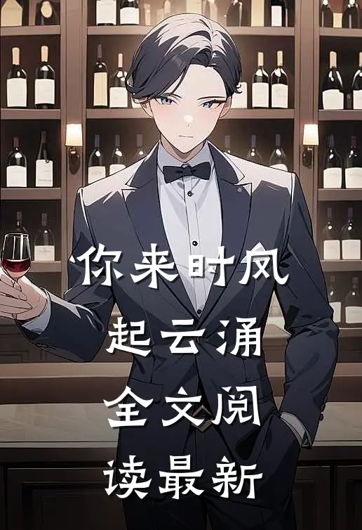 你来时风起云涌全文阅读最新