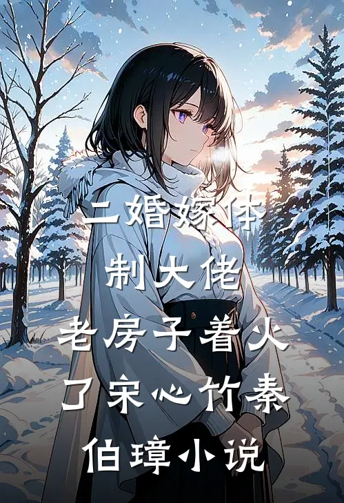 二婚嫁体制大佬，老房子着火了宋心竹秦伯璋小说