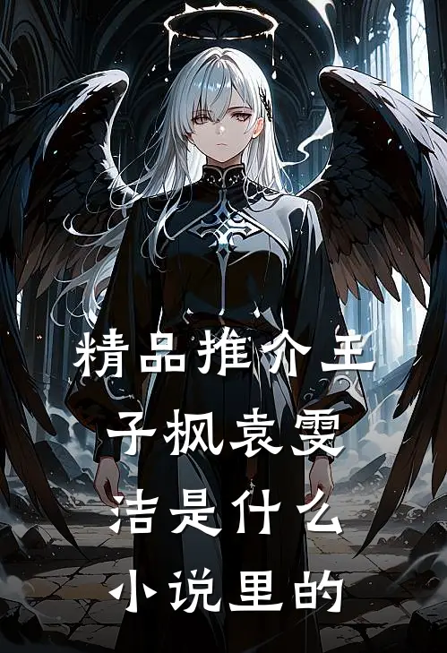 精品推介王子枫袁雯洁是什么小说里的