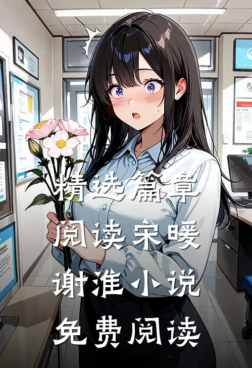 精选篇章阅读宋暖谢淮小说免费阅读