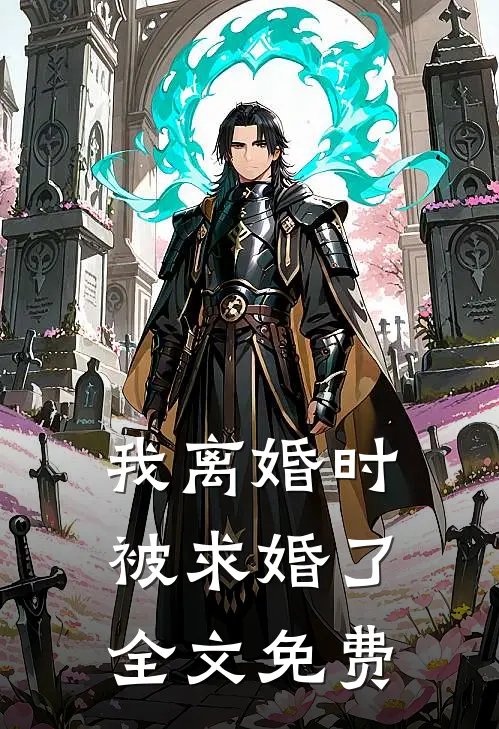 我离婚时被求婚了全文免费