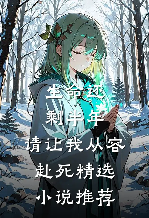 生命还剩半年，请让我从容赴死精选小说推荐