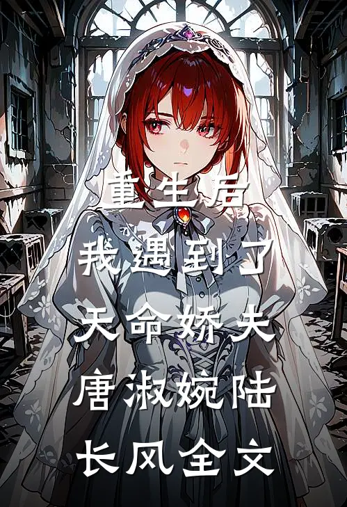 重生后,我遇到了天命娇夫唐淑婉陆长风全文