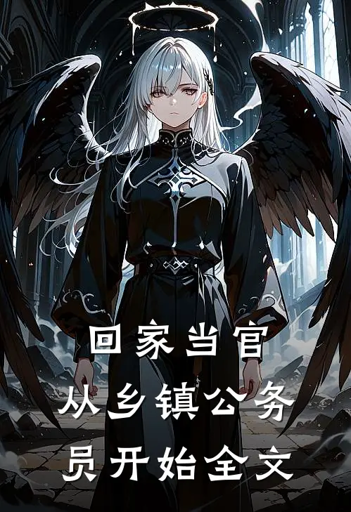 回家当官：从乡镇公务员开始全文
