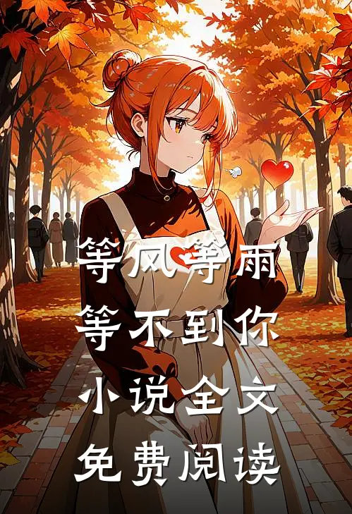 等风等雨等不到你小说全文免费阅读