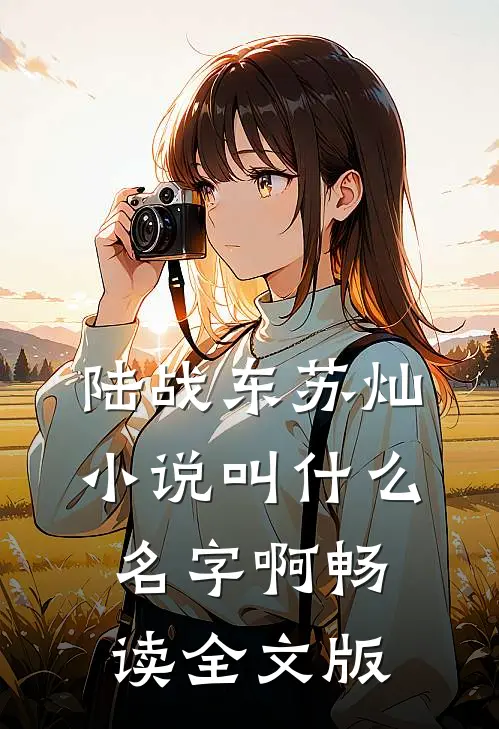 陆战东苏灿小说叫什么名字啊畅读全文版