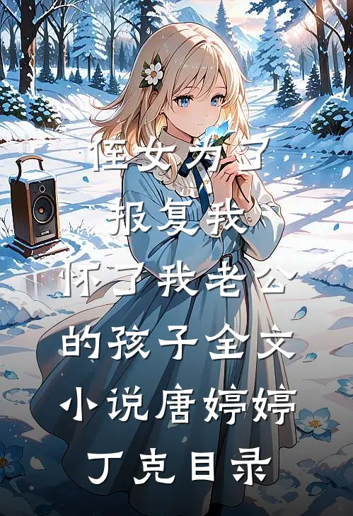 侄女为了报复我，怀了我老公的孩子全文小说唐婷婷丁克目录