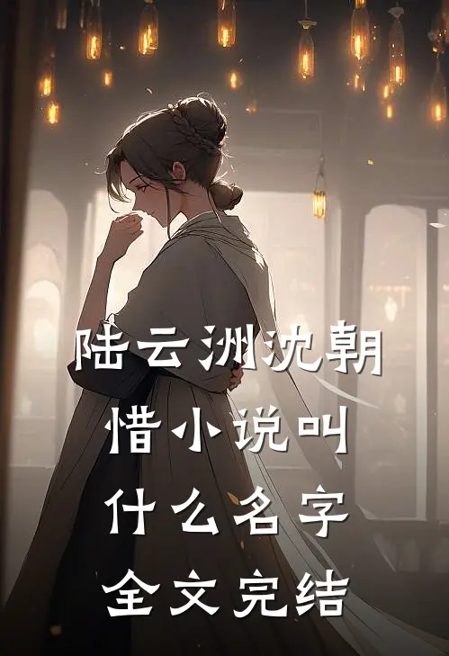 陆云洲沈朝惜小说叫什么名字全文完结
