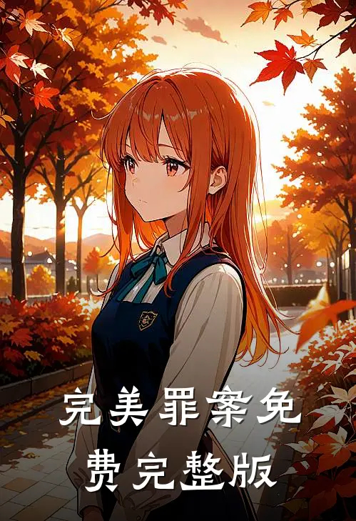 完美罪案免费完整版