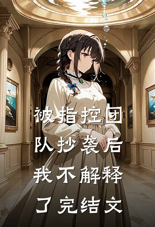 被指控团队抄袭后，我不解释了完结文