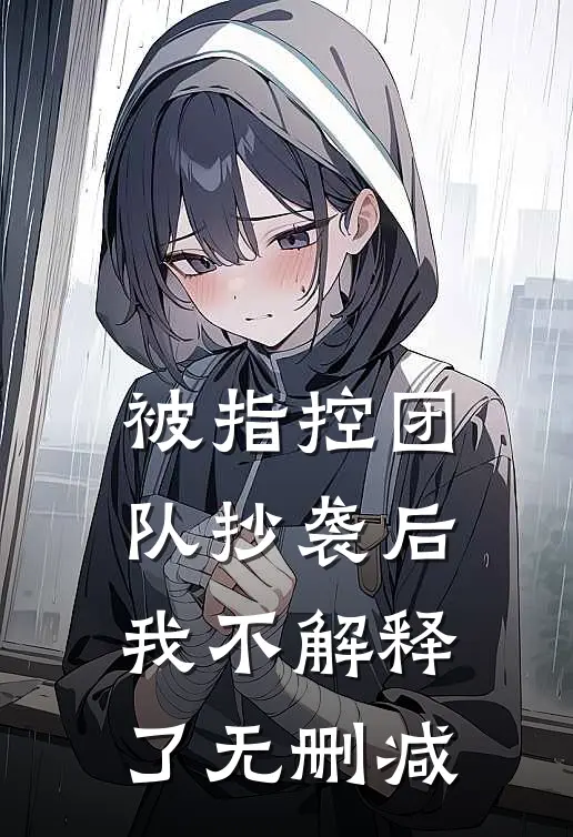 被指控团队抄袭后，我不解释了无删减