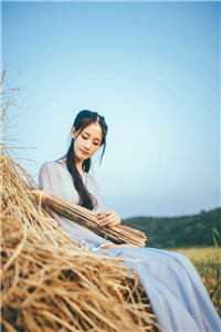 一朝并蒂生，仙途两无踪沈清辞于陌无删减+无广告
