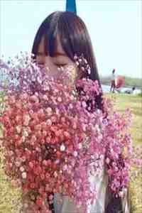 望断青山君不还无广告