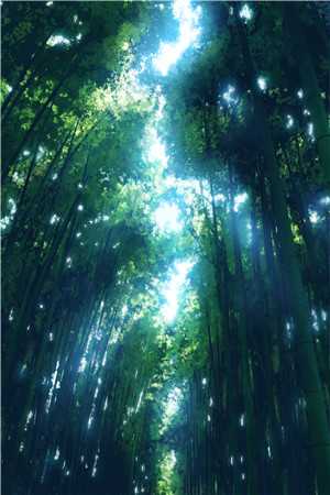 重生七零：我靠情报系统杀疯了小说全文免费