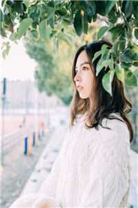 囚星千夜掷清欢前文+番外