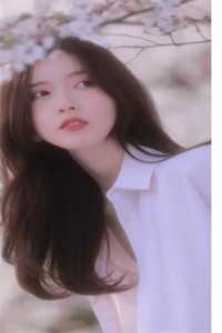 人间客借问蓬莱异常火爆