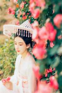 望断青山君不还前文+