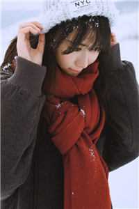 渐行渐远渐南北畅读