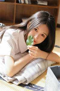 情止黎明前完结版