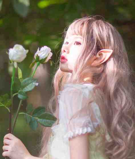 弹幕说他爱我，可他处处难为我完结