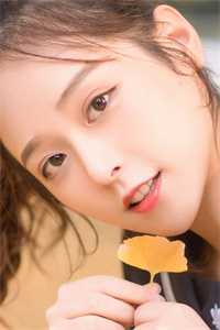 新雪已覆来时路宁婉沈驰野全文+免费