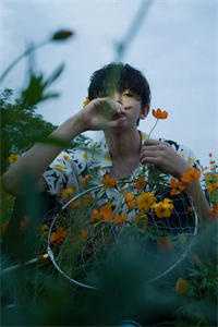 极光漫过永夜处前文+番外