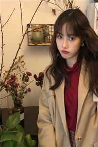 雾月沉入琥珀川笔趣阁