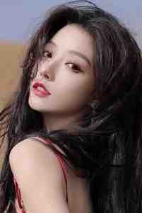 囚星千夜掷清欢小说全文免费