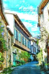 从今跨过眼泪海完结版