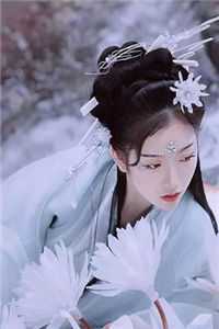 烟花坠落小说畅读