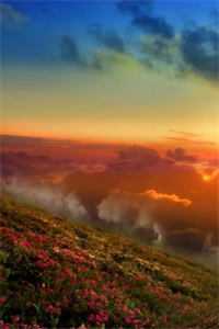 枯木逢春千山过全文免费