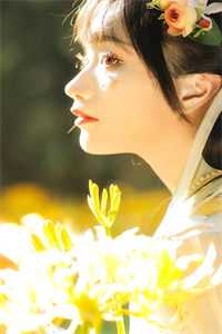 我自人间向清风全集